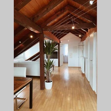 毛尔堡*Dreilaendereck* Wifi+ Balkon+Garage Basel Mulhouse公寓 外观 照片