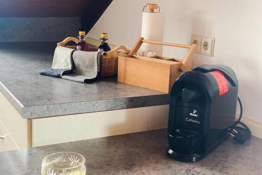 毛尔堡*Dreilaendereck* Wifi+ Balkon+Garage Basel Mulhouse公寓 外观 照片