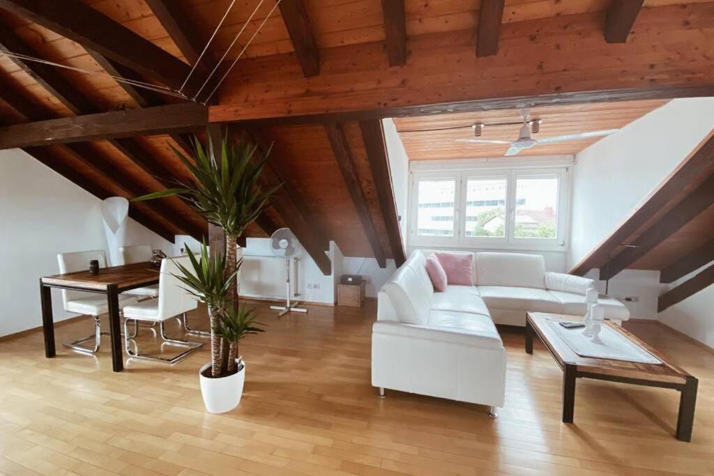 毛尔堡*Dreilaendereck* Wifi+ Balkon+Garage Basel Mulhouse公寓 外观 照片